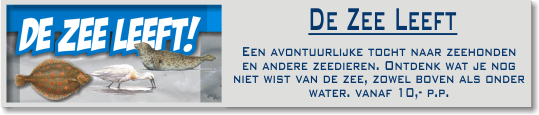 dezeeleeft