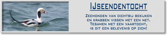 ijseenden