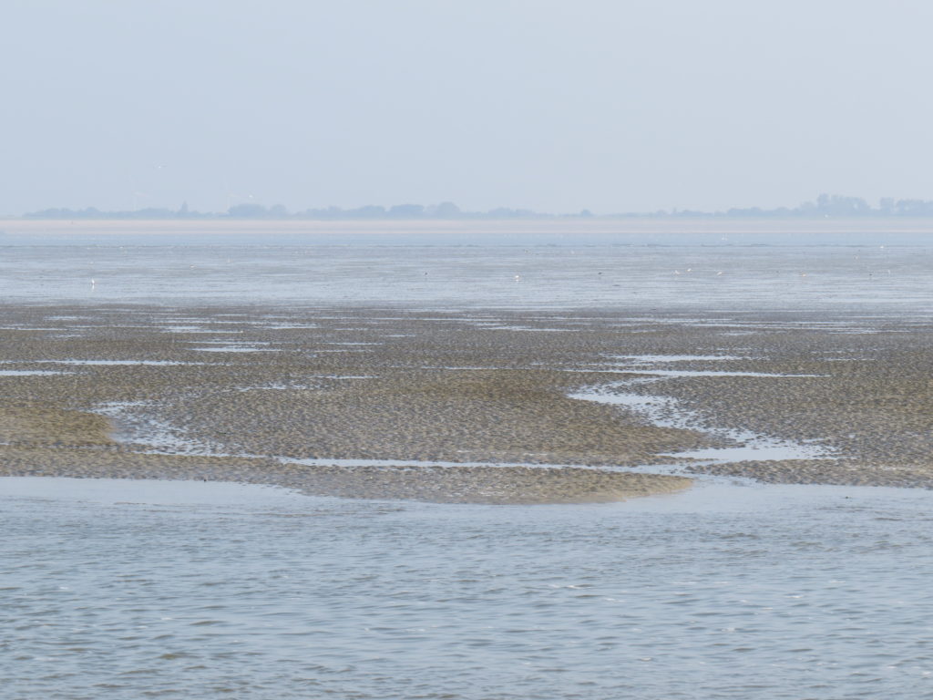 culinair-vaartochten-op-het-wad-jan-rotgans