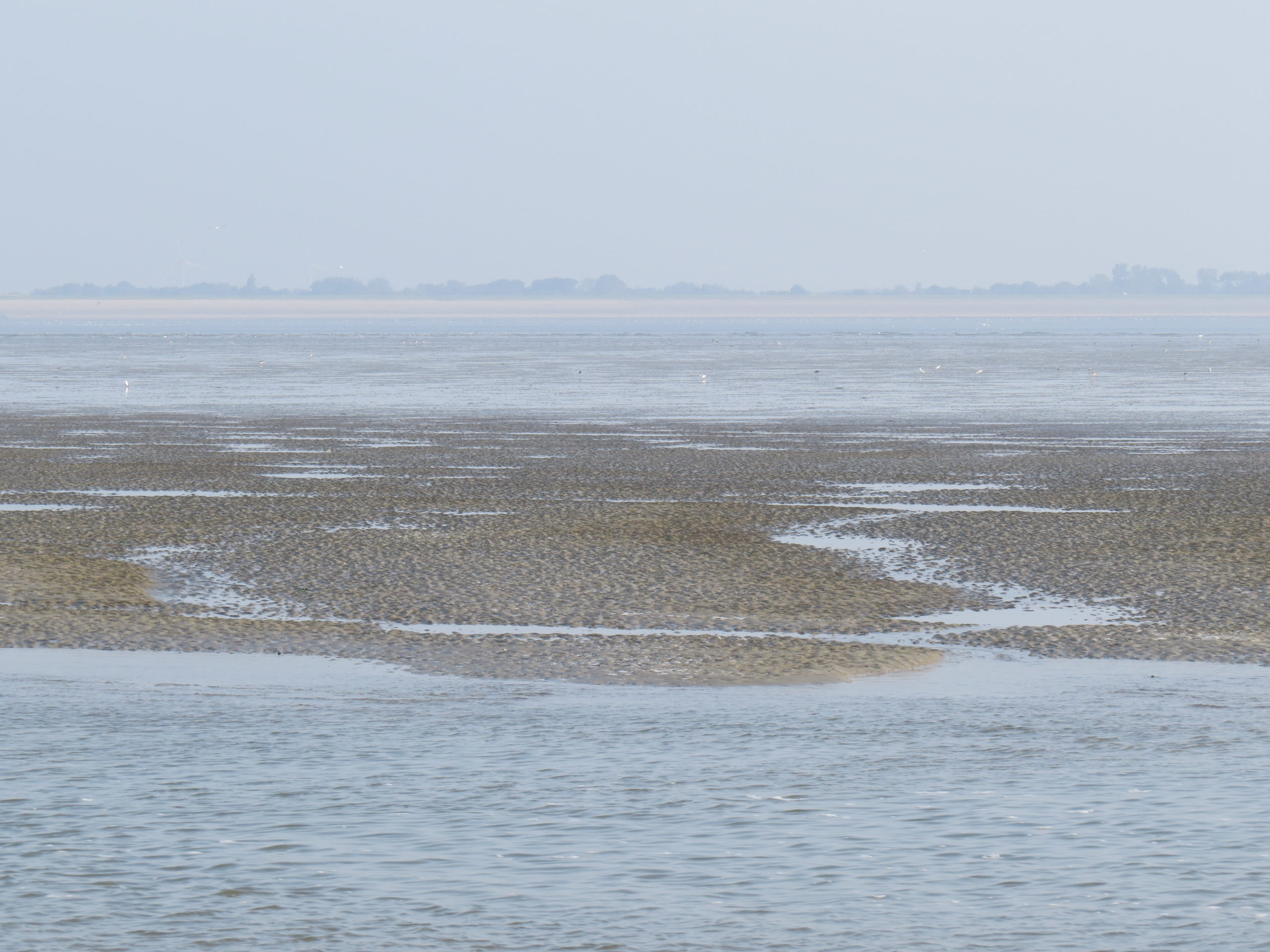 culinair-vaartochten-op-het-wad-jan-rotgans